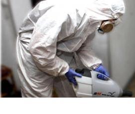 Дезинсекция мух - тип 1