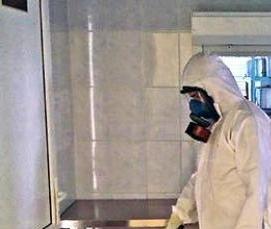 Дезинсекция мух - тип 3