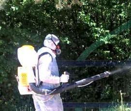 Дезинсекция насекомых - тип 1