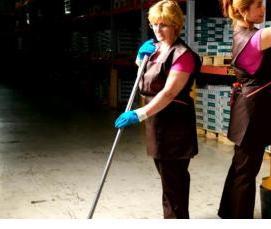 Дезинсекция нежилых помещений - тип 1