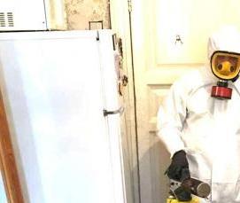 Дезинсекция нежилых помещений - тип 2