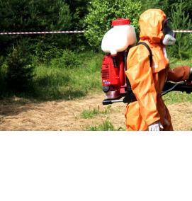 Дезинсекция общежития - вариант 1