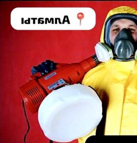 Дезинсекция общежития - вариант 4