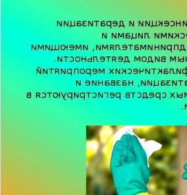 Дезинсекция общежития - вариант 3