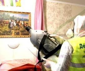 Дезинсекция офиса - вариант 4