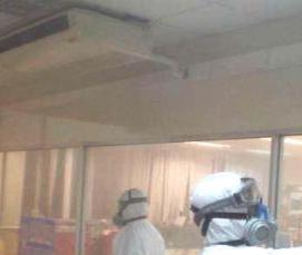 Дезинсекция от блох - модель 1