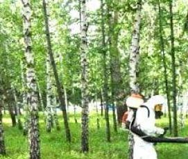 Дезинсекция от клещей - вариант 3