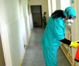 Дезинсекция от муравьев - тип 2