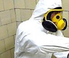 Дезинсекция от мышей - тип 1