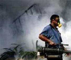 Дезинсекция от мышей - тип 3