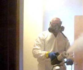 Дезинсекция от мышей - тип 2