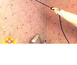 Дезинсекция от тараканов - вариант 1