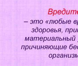 Дезинсекция пищевых предприятий - тип 1