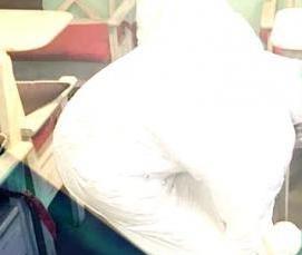 Дезинсекция помещений - вариант 1