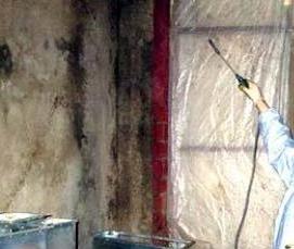 Дезинсекция помещений - вариант 3