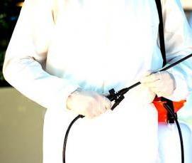 Дезинсекция производственных помещений - вариант 1