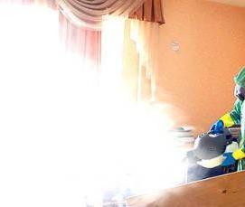 Дезинсекция туманом - модель 1