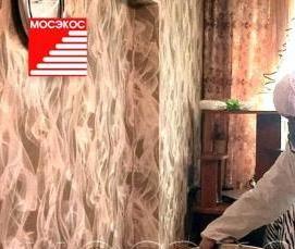 Дезинсекция туманом от тараканов - модель 1