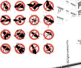 Дезинсекция туманом от тараканов - модель 4