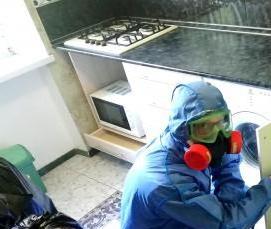 Дезинсекция туманом от тараканов - модель 2