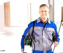 Дезинсекция уничтожение насекомых - модель 1