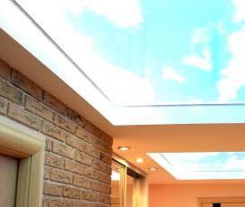 Дизайнерские натяжные потолки - модель 2