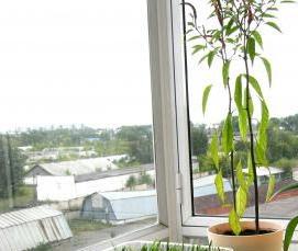 Дополнительное остекление - тип 1