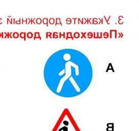 Дорожный знак пешеходная дорожка - тип 1