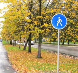 Дорожный знак пешеходная дорожка - тип 4