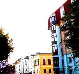 Дорожный знак пешеходная дорожка - тип 3