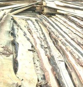 Доска сухая необрезная - вариант 4