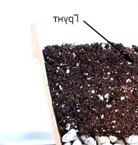 Дренаж для вазонов - вариант 1