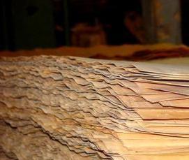 Древесный шпон - тип 1