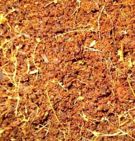 Древесный субстрат - вариант 3