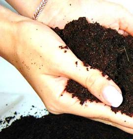 Древесный субстрат - вариант 2