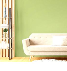 Дсп зеленого цвета - модель 3