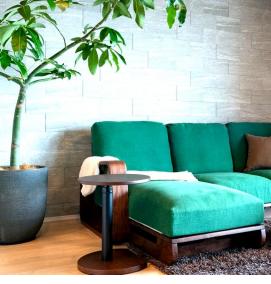 Дсп зеленого цвета - модель 2