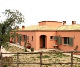 Дубовая балка - модель 1