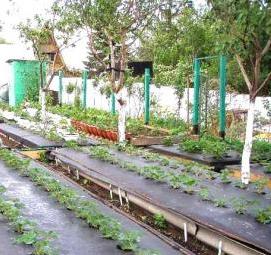 Дуги для грядок - модель 3