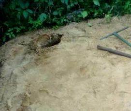 Душ теплица - модель 2