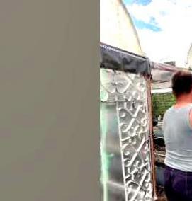 Дверь для парника - модель 1