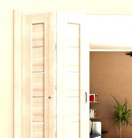 Дверь купе книжка - вариант 3