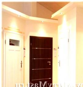 Дверь пластиковая межкомнатная глухая - вариант 4