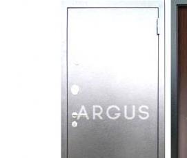 Дверь входная металлическая с зеркалом - тип 1