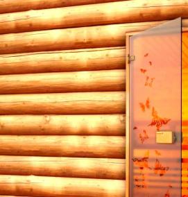 Двери для бани 1800х800 - модель 3