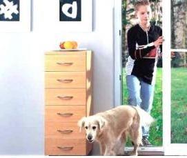 Двери двухстворчатые входные стеклянные - тип 1