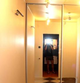 Двери купе с зеркальными вставками - модель 2