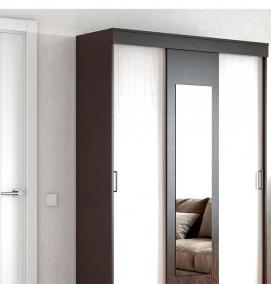 Двери купе венге с зеркалом - тип 3