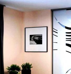 Двери купе зеркальные пескоструйные - модель 1