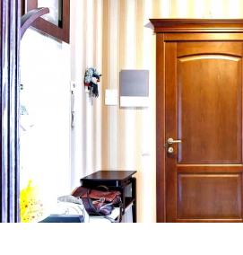 Двери межкомнатные глухие шпон - тип 3